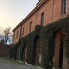 лучшие фото Сюзанна Халамонова лучшие фото Сюзанна Халамонова