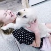 разместить рекламу в блоге nikushkarus разместить рекламу в блоге nikushkarus