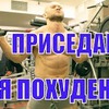 реклама у блоггера superbiceps реклама у блоггера superbiceps