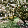 реклама на блоге Мария Смирнова реклама на блоге Мария Смирнова
