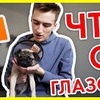 лучшие фото vberberyy лучшие фото vberberyy