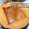 новое фото denis.lesnue новое фото denis.lesnue