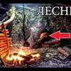 разместить рекламу в блоге denis.lesnue разместить рекламу в блоге denis.lesnue
