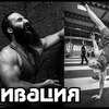 реклама у блоггера exfibra реклама у блоггера exfibra