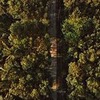 фотография Александр Рыльсков фотография Александр Рыльсков