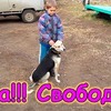 реклама на блоге family_brovchenko реклама на блоге family_brovchenko