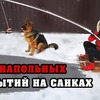 заказать рекламу у блоггера prozotova заказать рекламу у блоггера prozotova
