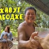 заказать рекламу у блоггера venoru заказать рекламу у блоггера venoru