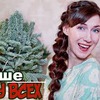 реклама у блоггера lucky_myrrr реклама у блоггера lucky_myrrr
