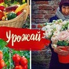 заказать рекламу у блоггера lucky_myrrr заказать рекламу у блоггера lucky_myrrr