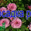 фотография moi_domik_v_derevne фотография moi_domik_v_derevne