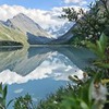 реклама на блоге Ира Бука реклама на блоге Ира Бука
