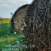 реклама на блоге Ольга Фрешшш реклама на блоге Ольга Фрешшш