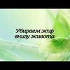 разместить рекламу в блоге Tatiana.kush разместить рекламу в блоге Tatiana.kush