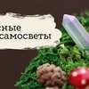 реклама в блоге masherisha.art реклама в блоге masherisha.art