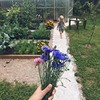 реклама в блоге Марина Малиновая реклама в блоге Марина Малиновая