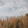 разместить рекламу в блоге Аня разместить рекламу в блоге Аня