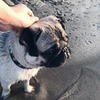 фото Елизавета Лыскова фото Елизавета Лыскова