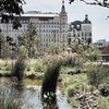 заказать рекламу у блоггера Наталья Панфёрова заказать рекламу у блоггера Наталья Панфёрова