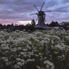 реклама на блоге Юлия Фёдорова реклама на блоге Юлия Фёдорова