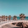 лучшие фото Анастасия Королева лучшие фото Анастасия Королева