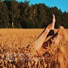 реклама у блоггера Ольга Фрешшш реклама у блоггера Ольга Фрешшш