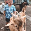 реклама у блоггера Ольга Гришкевич реклама у блоггера Ольга Гришкевич