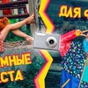фотография elmofeo фотография elmofeo