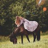 лучшие фото Женя Андерсон лучшие фото Женя Андерсон