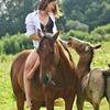 разместить рекламу в блоге Саша Твердохлебова разместить рекламу в блоге Саша Твердохлебова