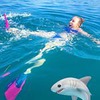 реклама у блоггера Elli Di реклама у блоггера Elli Di
