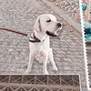 фотография Яна Бельская фотография Яна Бельская
