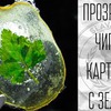 реклама на блоге Slava Cook реклама на блоге Slava Cook
