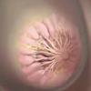 фотография doctor_annamama фотография doctor_annamama