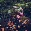 фотография Мария Соловей фотография Мария Соловей