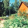фотография Ольга Зацепина фотография Ольга Зацепина