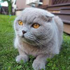 фото на странице Кристина Штарева фото на странице Кристина Штарева