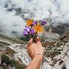 фотография Александра Лебедева фотография Александра Лебедева