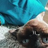 фото на странице Евгения Хахаева фото на странице Евгения Хахаева