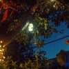 фотография Анастасия luckyMyrrr фотография Анастасия luckyMyrrr