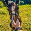 фото на странице Владислав Погорелый фото на странице Владислав Погорелый