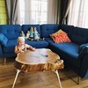 лучшие фото Евгения Волкова лучшие фото Евгения Волкова
