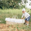 новое фото Александра Жихарева новое фото Александра Жихарева