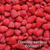 реклама на блоге Юлия Леночкина реклама на блоге Юлия Леночкина