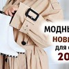 фотография limfina фотография limfina