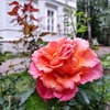 фото на странице Ирина Белоусова фото на странице Ирина Белоусова
