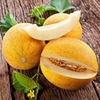 фотография Виталий Vitaliy_rus_vitaliy фотография Виталий Vitaliy_rus_vitaliy
