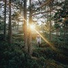 реклама у блоггера Илья Воскресенский реклама у блоггера Илья Воскресенский