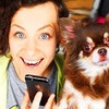 реклама на блоге chihuasophieanny_magik реклама на блоге chihuasophieanny_magik