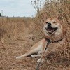лучшие фото Архелия Лихуд лучшие фото Архелия Лихуд